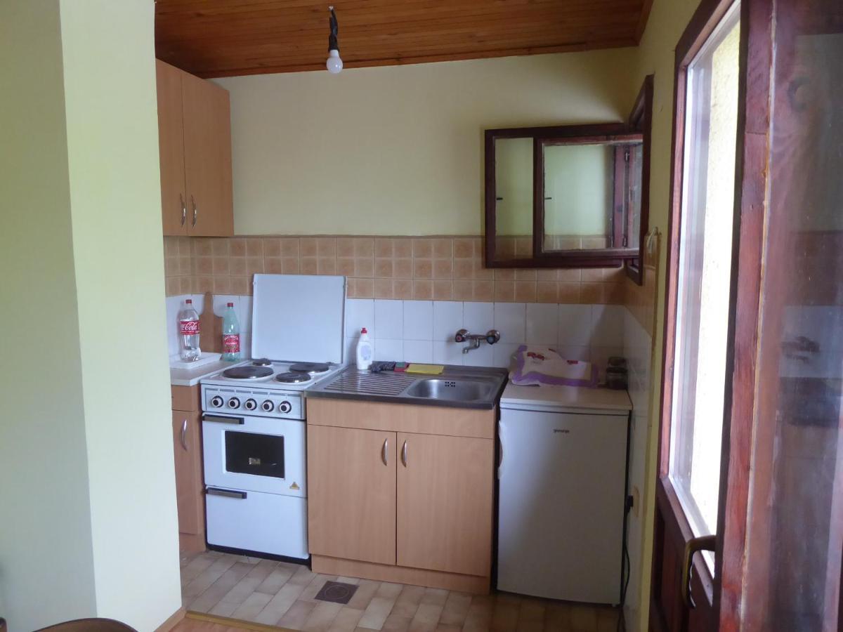 Guest House Pribojska Banja Kültér fotó