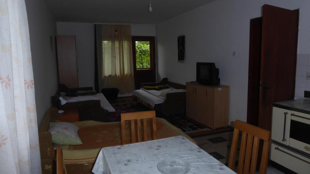 Guest House Pribojska Banja Kültér fotó
