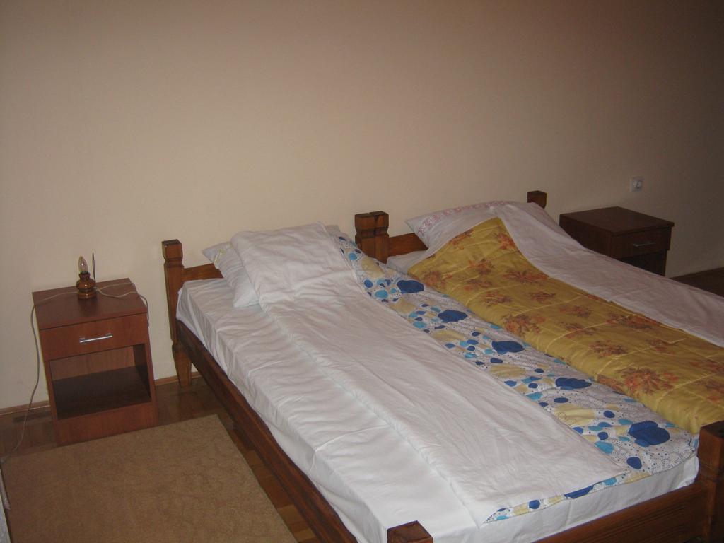 Guest House Pribojska Banja Kültér fotó
