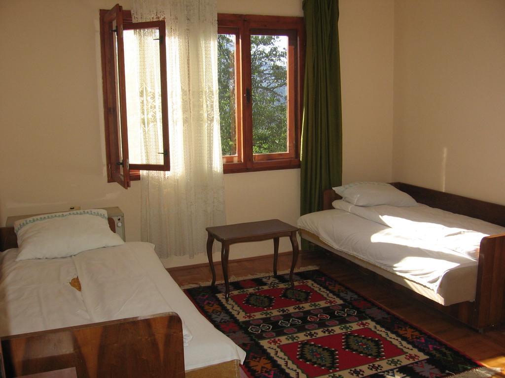 Guest House Pribojska Banja Kültér fotó