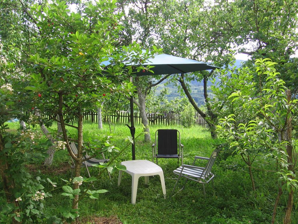 Guest House Pribojska Banja Kültér fotó